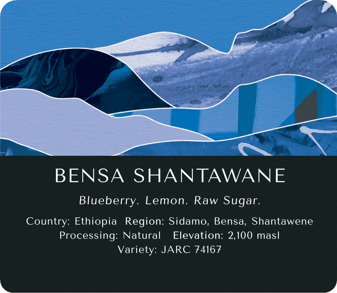 Bensa Shantawane (Natural) - Ethiopia