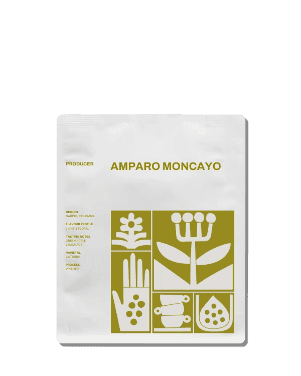 Amparo Moncayo | Colombia